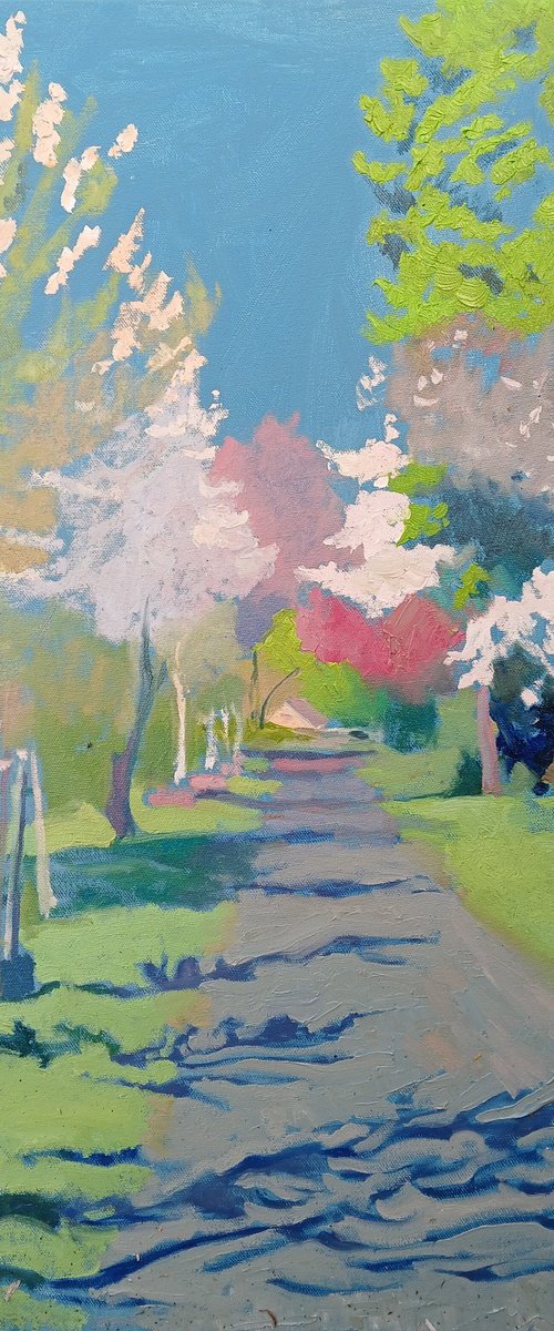 Spring Light Path by Vasyl Koval