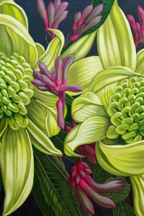 Green Waratahs by Fiona Craig