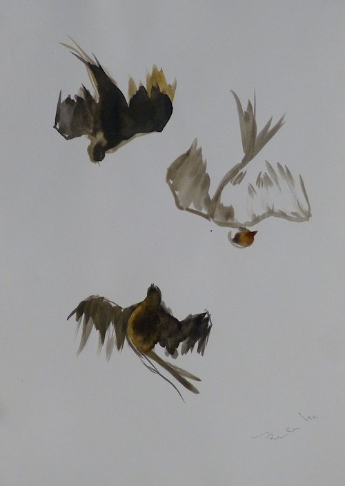 The Flying Birds 4, 29x41 cm by Frederic Belaubre