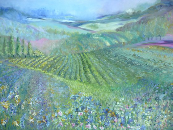 Lavender in Provence 2025