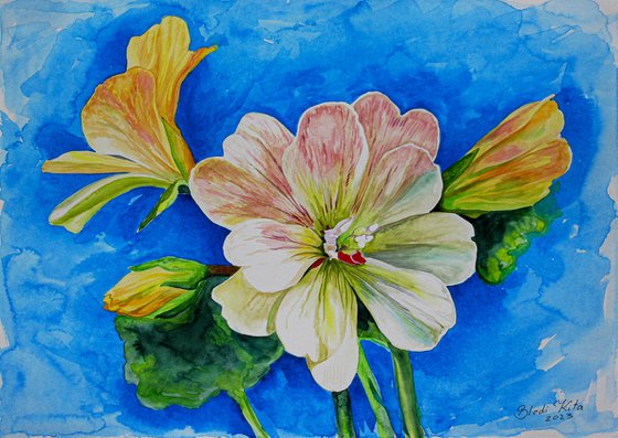 Flowers, watercolor