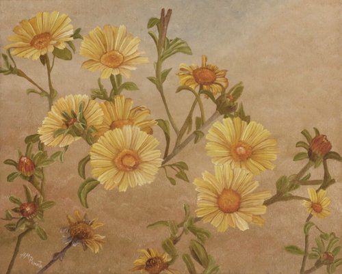 Yellow Daisies by Angeles M. Pomata