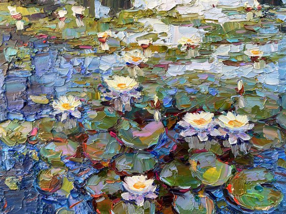 river with water lilies