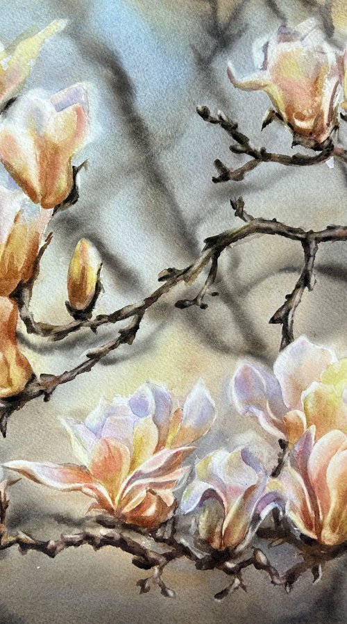 Branch of magnolia by Alina Karpova