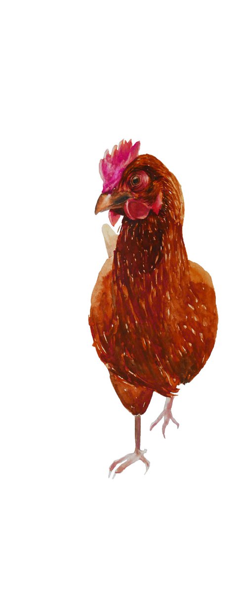 Chicken by Karina Danylchuk