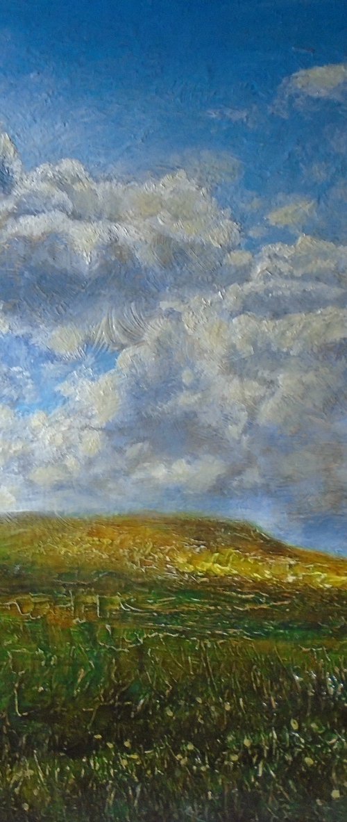 Teesdale landscape by Michael Mullen