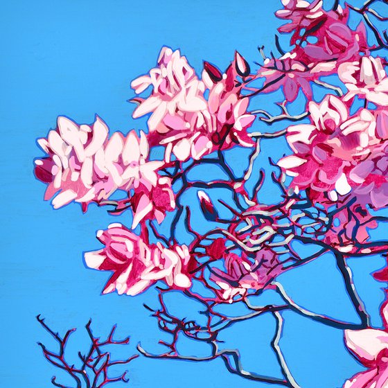 Pink Magnolia Blossom