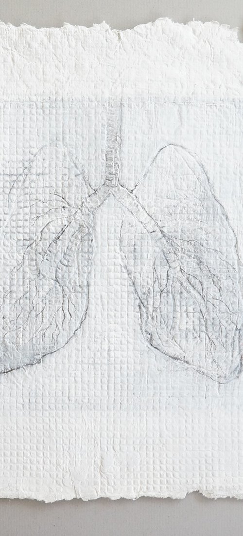 Lungs by Anna Jannack
