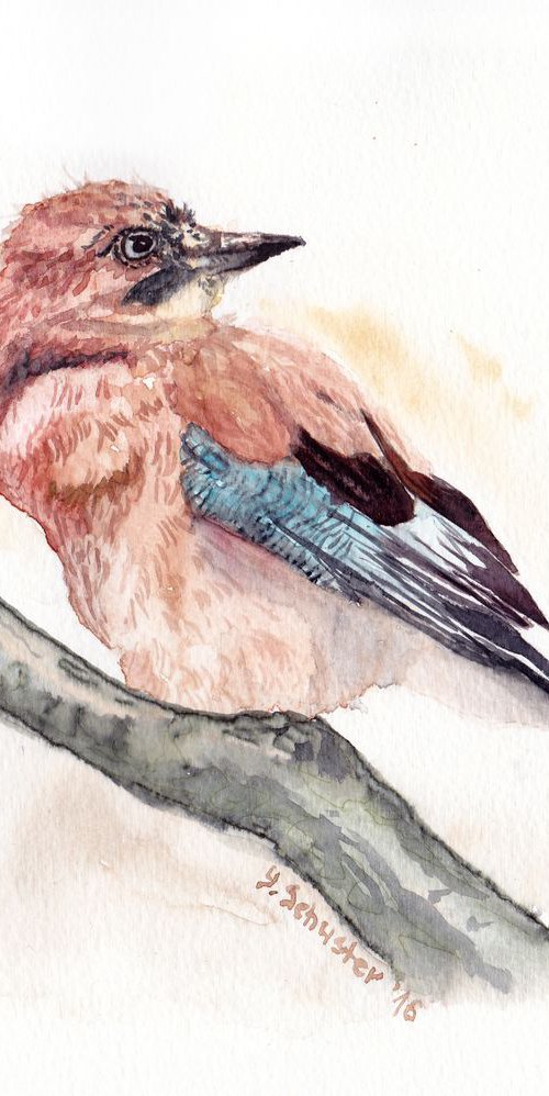 Watercolour birds portraits... by Yulia Schuster