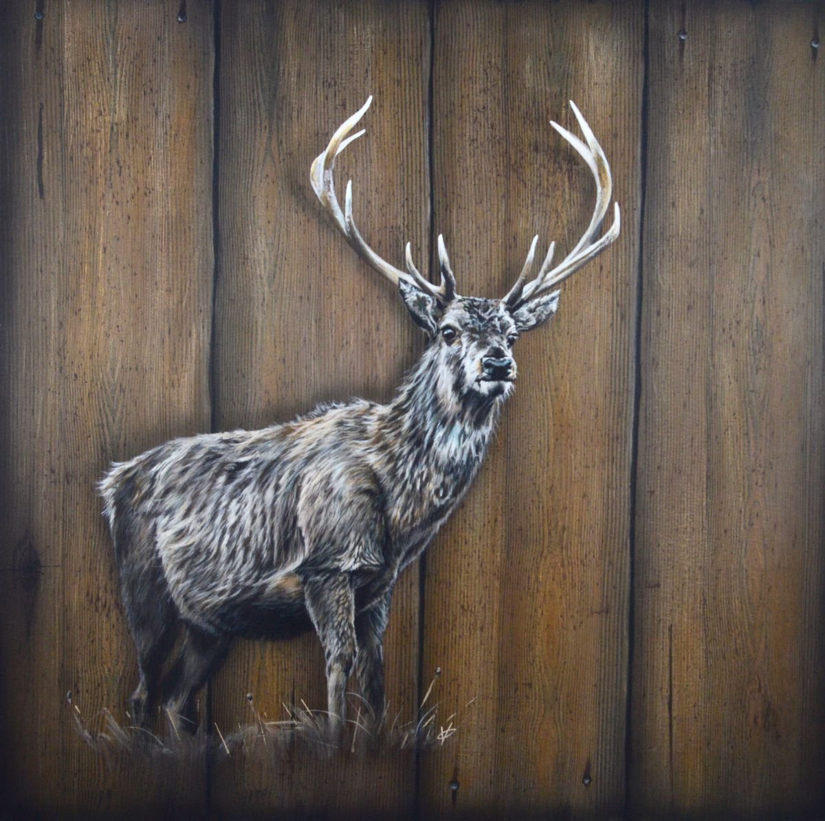 Stag by Victoria Coleman by Victoria Coleman