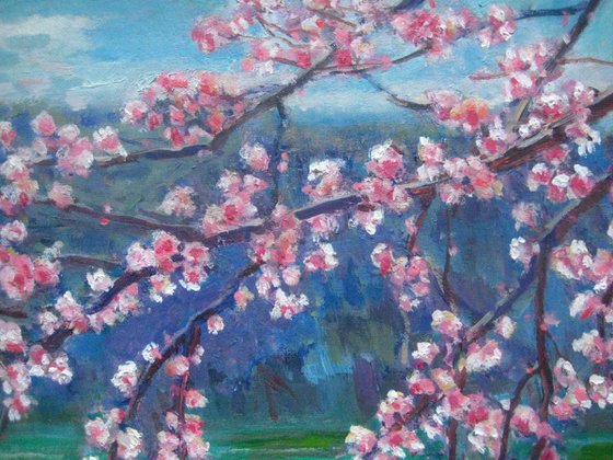 Spring blossom +persent (a little oil painting- Etude 7, 29x19cm)