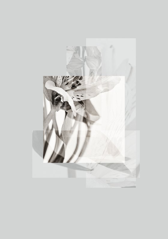 004 A Fraction Of The Whole. Series 1