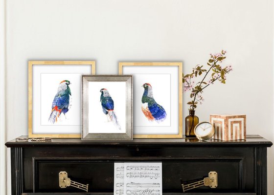 Beautiful Pheasant Bird in Vibrant Colors - Perfect Wall Art for Nature Lovers 2