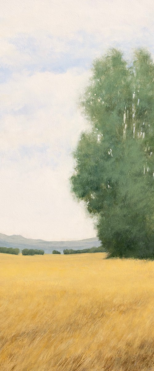 Summer Gold 250818 by Don Bishop
