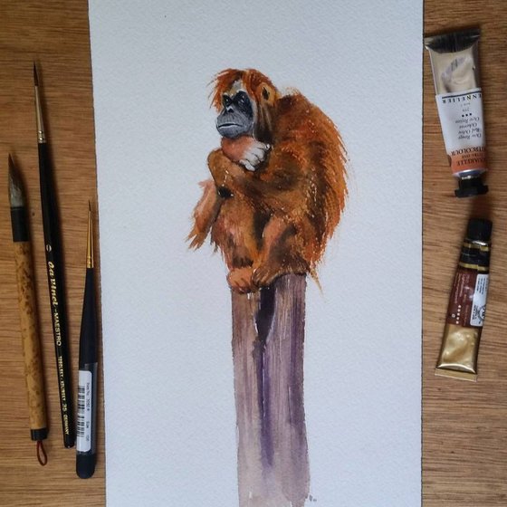 Thinking monkey