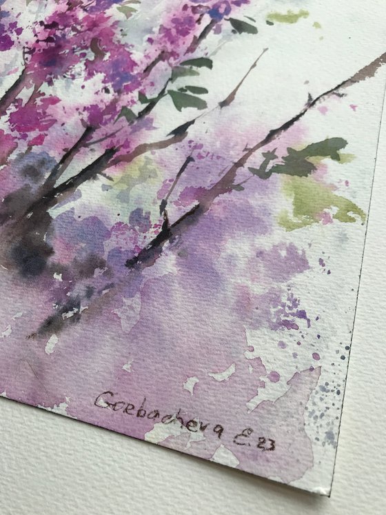 Cercis