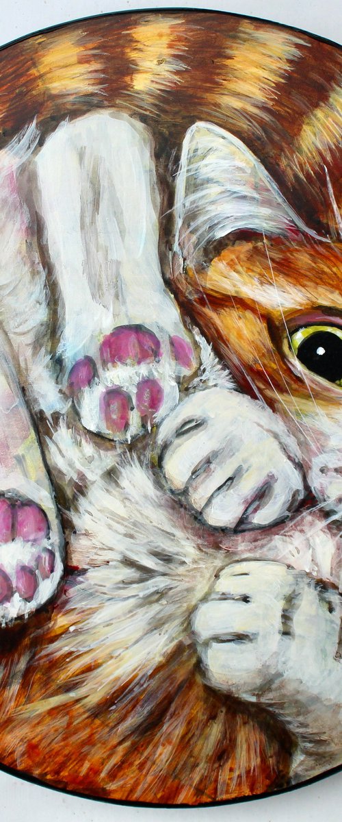 Cat In A Bowl by Victoria Coleman