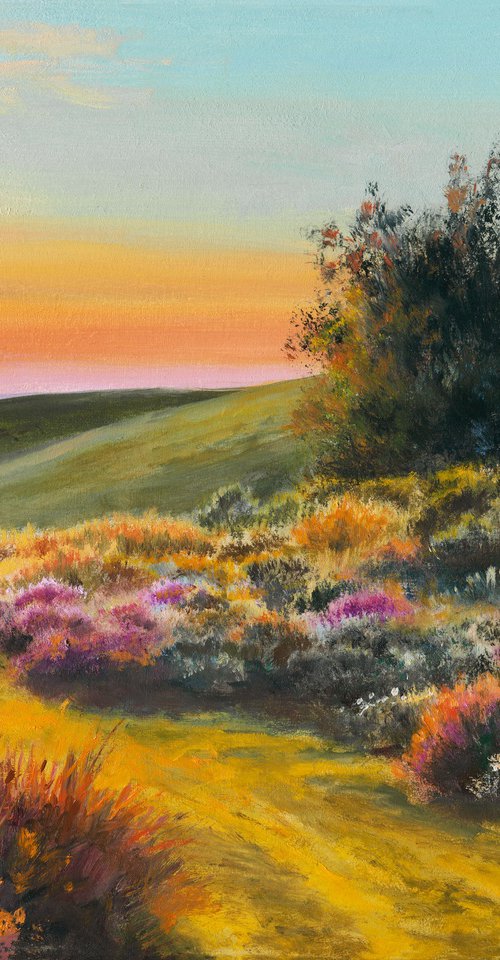 Country path with colorful flowers by Lucia Verdejo