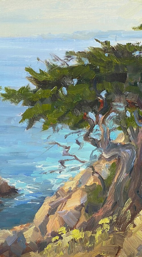 On the Edge In Point Lobos by Tatyana Fogarty