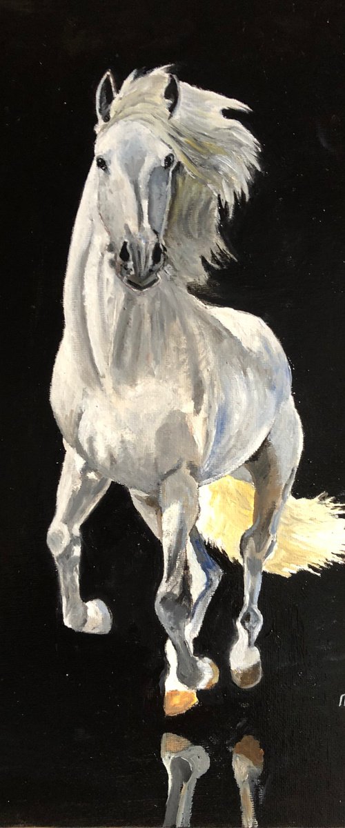 WHITE HORSE by Margaret Riordan