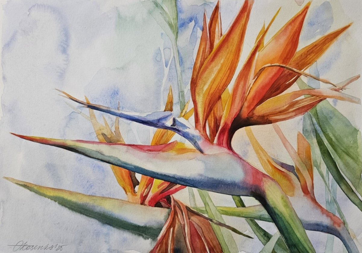 Expressive Botanical Watercolour By Olena Kosenko, 17 X 12", Whisper Of Paradise, Original Artwork