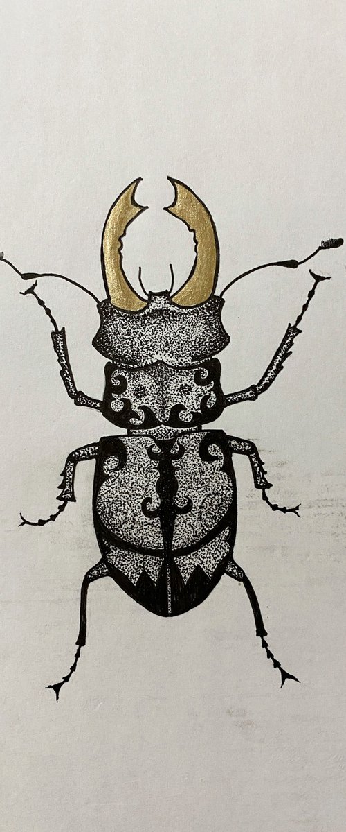 Beetle with golden horns by Tina Shyfruk