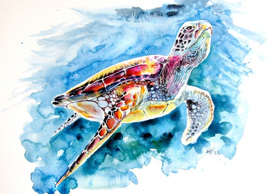 Turtle