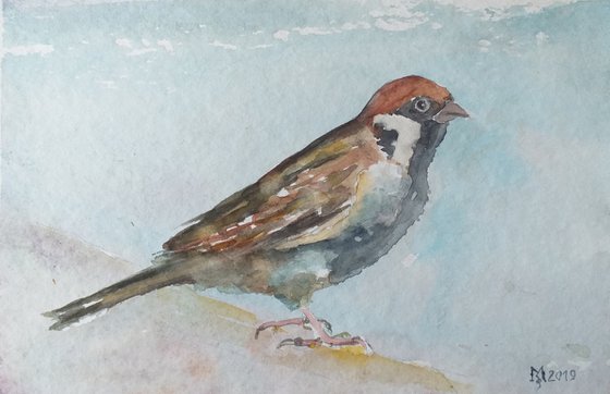 SPARROW