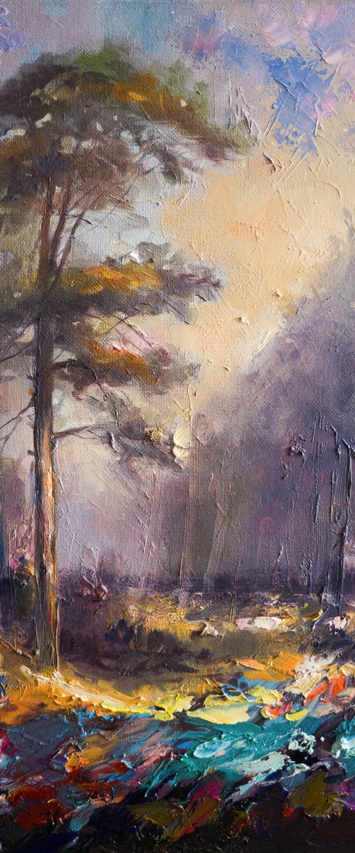 Forest Light Sequence by Artem Grunyka