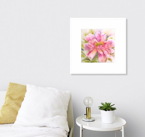 Peony. Pink flower watercolor painting