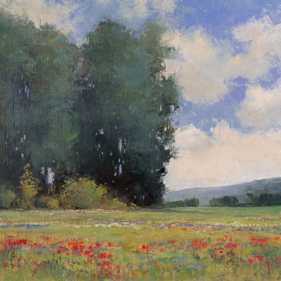 Poppies And Trees 200906, flower field impressionist landscape oil painting