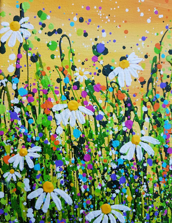 Morning Daisy Delight #2