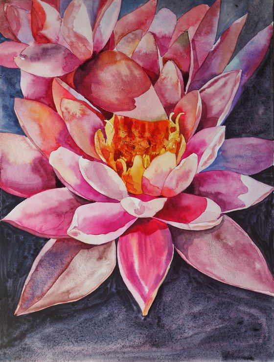 Pink lotus - original watercolor
