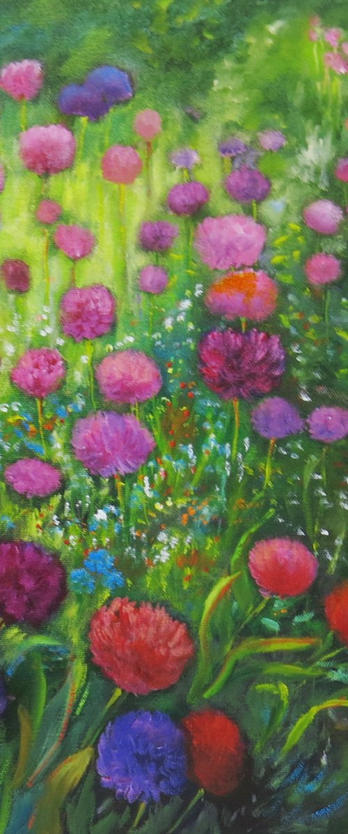 A Display of Alliums by Maureen Greenwood