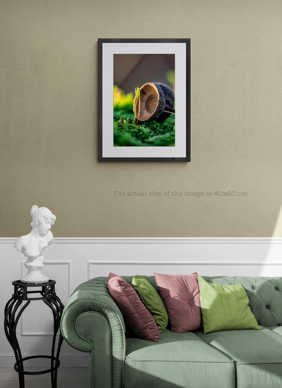 Mossy Love Story