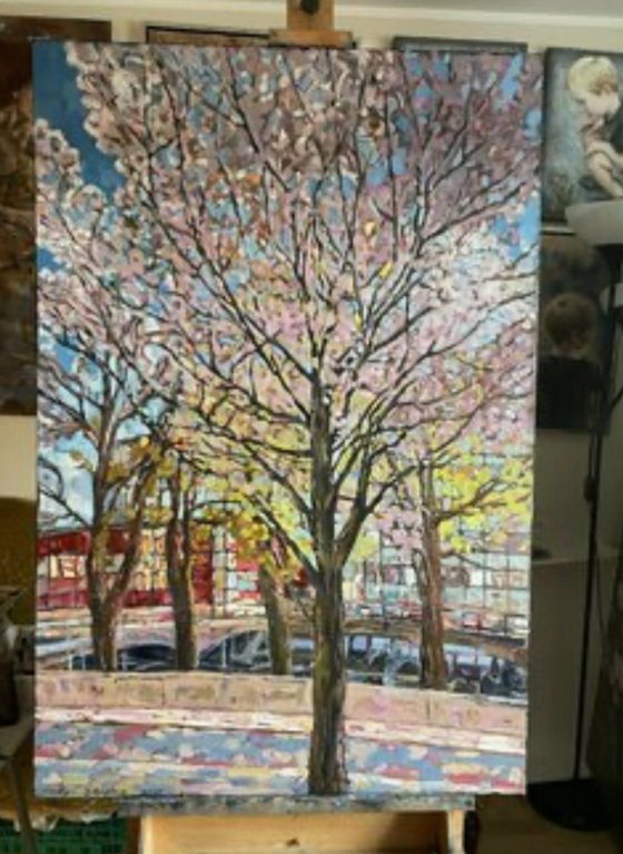 Blooming on Eiriks gate