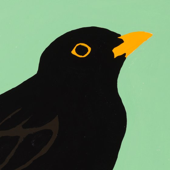 Black bird