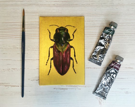 BUPRESTIDAE - Golden collection of beetles