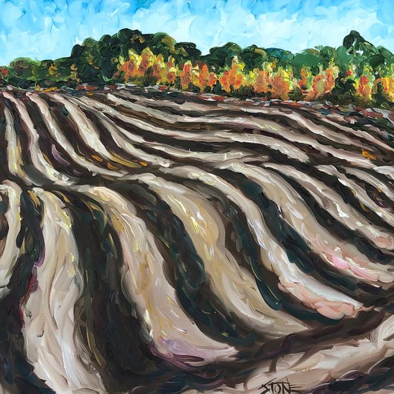 Furrows