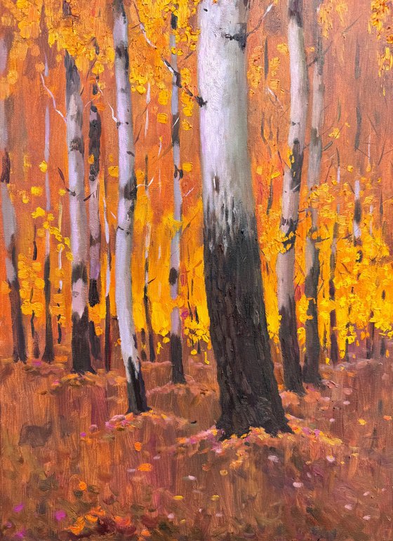 Autumn Birch Forest