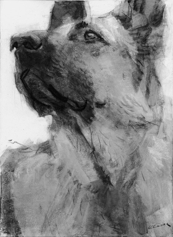 Charcoal drawing on paper