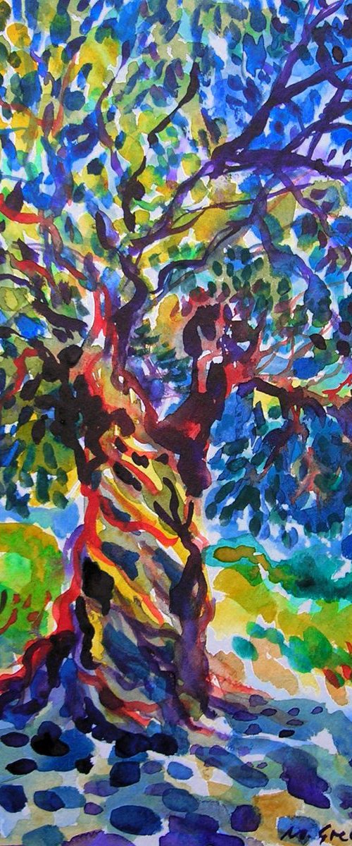 Magnificent olive tree #2 by Maja Grecic