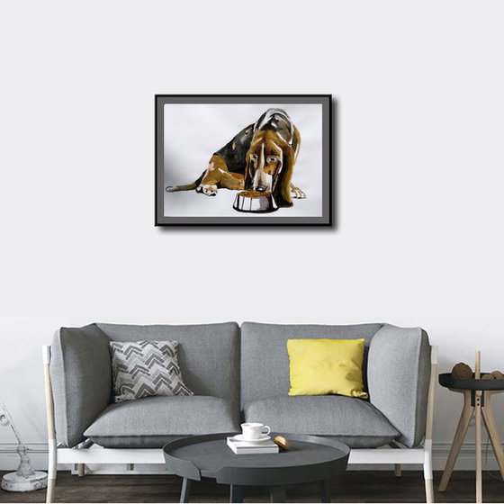 Basset Hound