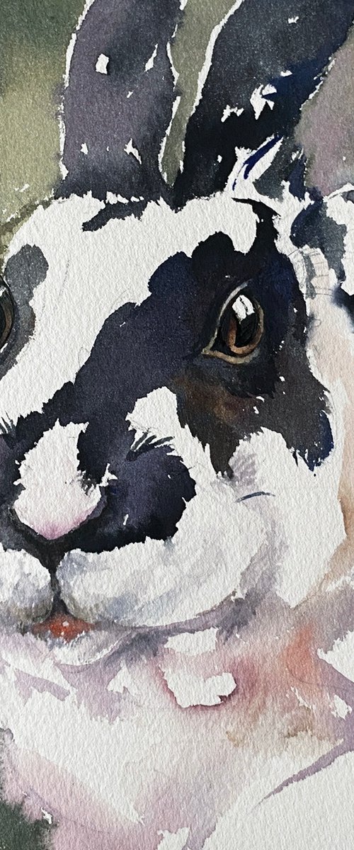 Oreo the Bunny by Arti Chauhan