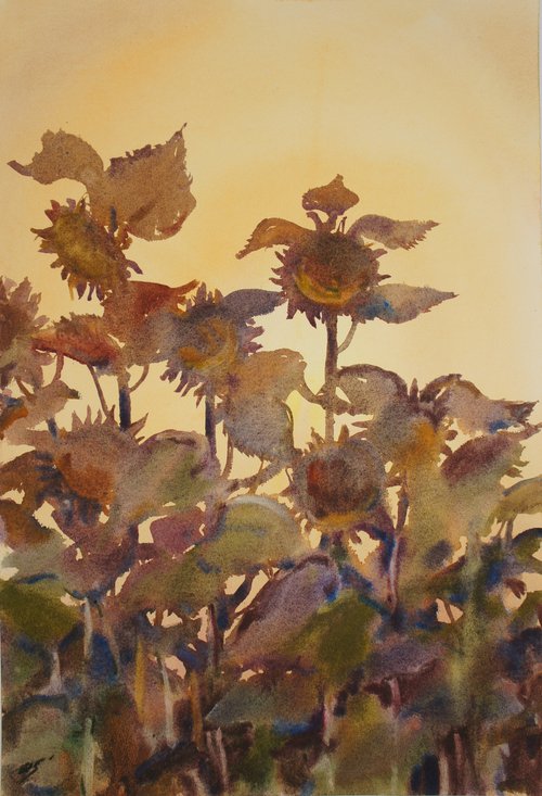 Sun. Sunflowers. by Elena Sanina