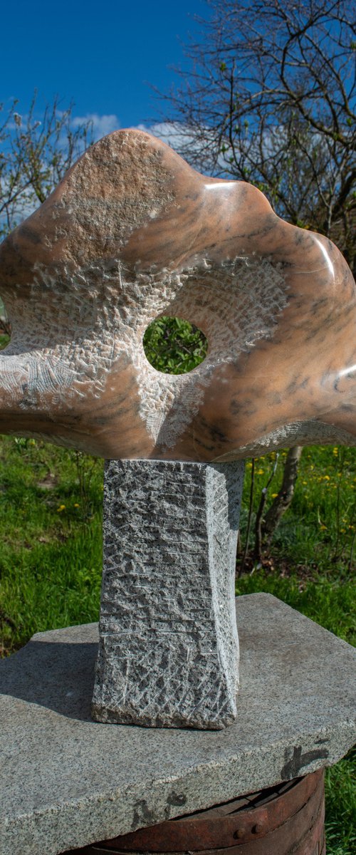 Harmony II by Ivan Stoyanov