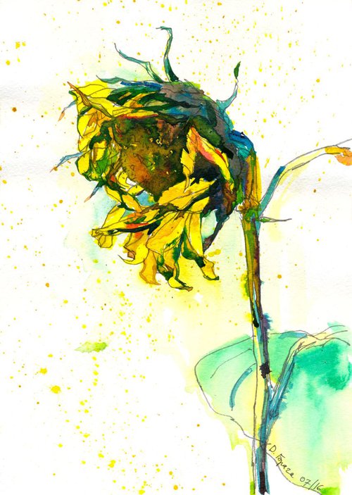 Sunflower, ink by Dima Braga
