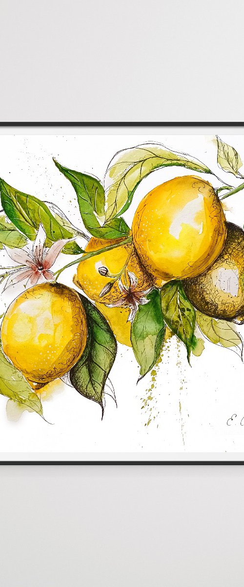 Lemons by Evgenia Smirnova