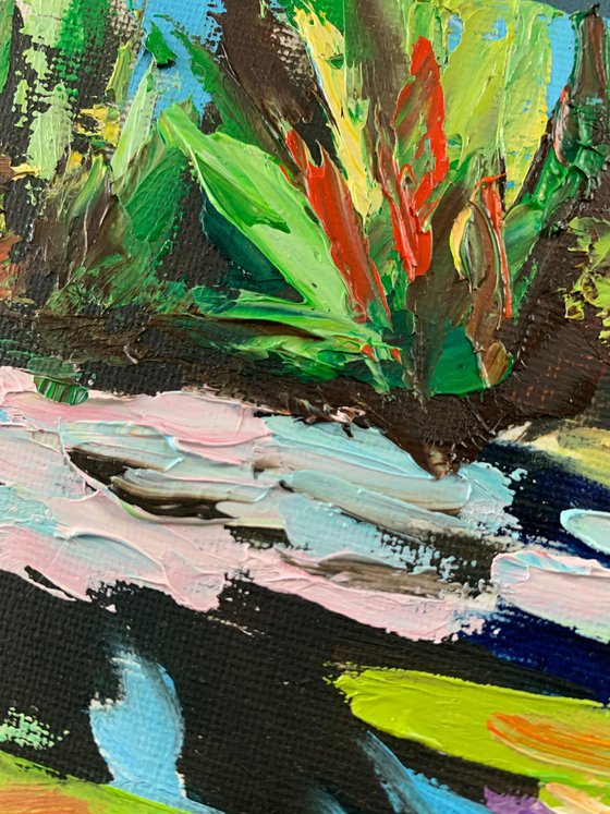 Lily pond landscape.