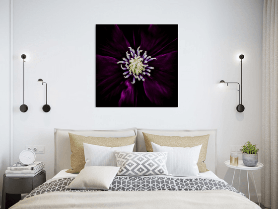 Vortex- Botanical Art on Ready to Hang HD Acrylic